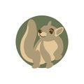 Squirrel style vector illustration Flat