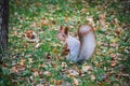 Squirrel supper expectation sits funny model zoon red bezstrashnaya the adroit beautiful waits a photo wants also Royalty Free Stock Photo