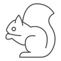 Squirrel thin line icon. Sitting forest animal, simple silhouette. Animals vector design concept, outline style Royalty Free Stock Photo