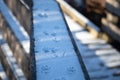 Squirrel Tracks in Snow on a Wooden Railing Royalty Free Stock Photo