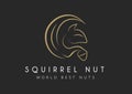 Squirrel vector icon isolated on transparent background, squirrel logo concept