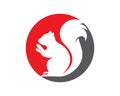 Squirrel vector icon