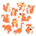 Squirrel set, cartoon cute funny furry squirrel characters