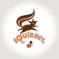 Squirrel. Vector template jumping squirrel and nutlet.