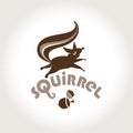 Squirrel. Vector template jumping squirrel and nutlet.