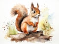 watercolor squirrel , different poses, white background, easy cutout, clip art,