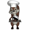 Squirrelly Chef Royalty Free Stock Photo