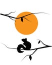 Squirrel silhouette on branch on sunset illustration, vector