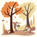 Squirrels collecting nuts under trees vector background Royalty Free Stock Photo