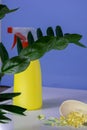 squirt bottle for watering flowers, green flower with long large leaves, watering plants, houseplants, landscaping concept