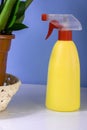 squirt bottle for watering flowers, green flower with long large leaves, watering plants, houseplants, landscaping concept