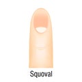 Squoval nail manicure icon cartoon vector. Polish fashion