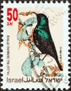 SRAEL - CIRCA 1992: A stamp printed in Israel from the `Songbirds` issue shows Palestine sunbird, circa 1992. Royalty Free Stock Photo