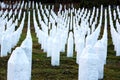 The Srebrenica-Potocari memorial and cemetery for the victims of Royalty Free Stock Photo