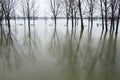 Sremska Mitrovica, Serbia 01.27.2023 Flooding on the Sava river. Deluge after rains and melting snow. Still muddy water on the