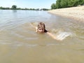 Sremska Mitrovica, Serbia - May 10, 2020. A girl is swimming, looking at the camera and laughing. Sava River. Turbid water in the Royalty Free Stock Photo