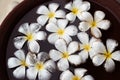 Sri Lanka: Araliya flower, temple tree in the water