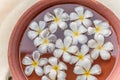 Sri Lanka: Araliya flower, temple tree in the water