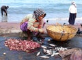 Sri Lanka, 19.03.2016: Asian woman is cleaning and preparing small fish