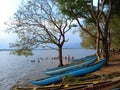 Sri Lanka Boat Traveling Place In Kawdulla Lake Royalty Free Stock Photo