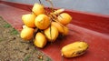 A bunch of ripe coconuts, just plucked from a palm tree, lies on the blind area near the house. Royalty Free Stock Photo