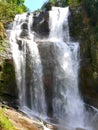 Sri Lanka Ceylon, Nuwara Eliya, waterfall and tea plantation Royalty Free Stock Photo