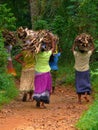 Sri Lanka Ceylon, women carrying firewood for cooking