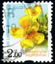 SRI LANKA - CIRCA 2016: stamp 2 Sri Lankan rupees printed by Democratic Socialist Republic of Sri Lanka, shows flowering plant