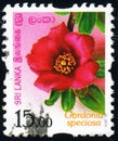 SRI LANKA - CIRCA 2016: stamp 15 Sri Lankan rupees printed by Sri Lanka, shows flowering plant Gordonia speciosa is species of