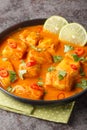 Sri Lanka coconut tomato fish curry close up on a plate. Vertical Royalty Free Stock Photo