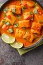 Sri Lanka coconut tomato fish curry close up on a plate. Vertical top view Royalty Free Stock Photo