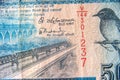 Sri Lanka currency close up. Macro view of 50 rupees bill. Detail of Srilankan banknote with bridge and flycatcher bird