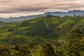 Sri Lanka: famous Ceylon highland tea fields Royalty Free Stock Photo