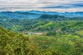 Sri Lanka: famous Ceylon highland tea fields