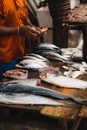 Sri Lanka fish market