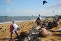 Sri Lanka fisherwomen selling fishes on the beach Royalty Free Stock Photo