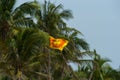 Sri Lanka flag on blue sky and palm. Old name Ceylon