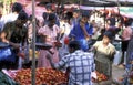 SRI LANKA HIKKADUWA MARKET