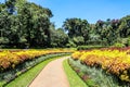 Sri lanka Kandy Royal Botanical Gardens