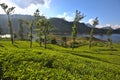 Sri Lanka landscapes