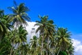 Sri Lanka, Lighthouse Dondra Head Royalty Free Stock Photo