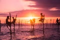 In Sri Lanka, a local fisherman is fishing in unique style in the evening