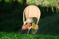 Tea pickers at work Royalty Free Stock Photo