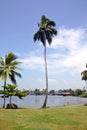 Sri Lanka, Indian ocean, beach, palm trees, ocean, coconut