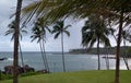 Sri Lanka, Indian ocean, beach, palm trees, ocean, coconut