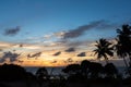 Sri Lanka paradise beach with white sand, Palm trees and a scenic sunset Royalty Free Stock Photo