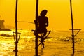 Sri Lanka`s traditional Fisherman on sanset. Fishing on silt is Royalty Free Stock Photo