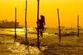 Sri Lanka`s traditional Fisherman on sunset. Fishing on silt is Royalty Free Stock Photo