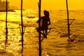Sri Lanka`s traditional Fisherman on sunset. Fishing on silt is Royalty Free Stock Photo