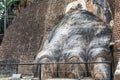 Sri lanka Sigiriya Lion Rock Gate Lion paw Royalty Free Stock Photo